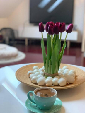 Apartman Loco